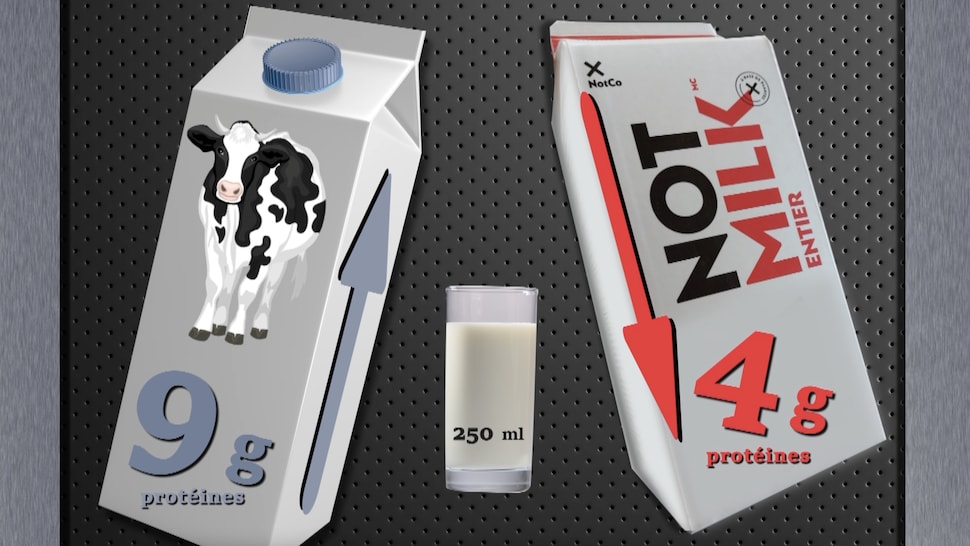 Un carton de lait de vache contenant 9g de protéines et un carton de Not Milk contenant 4g de protéines.