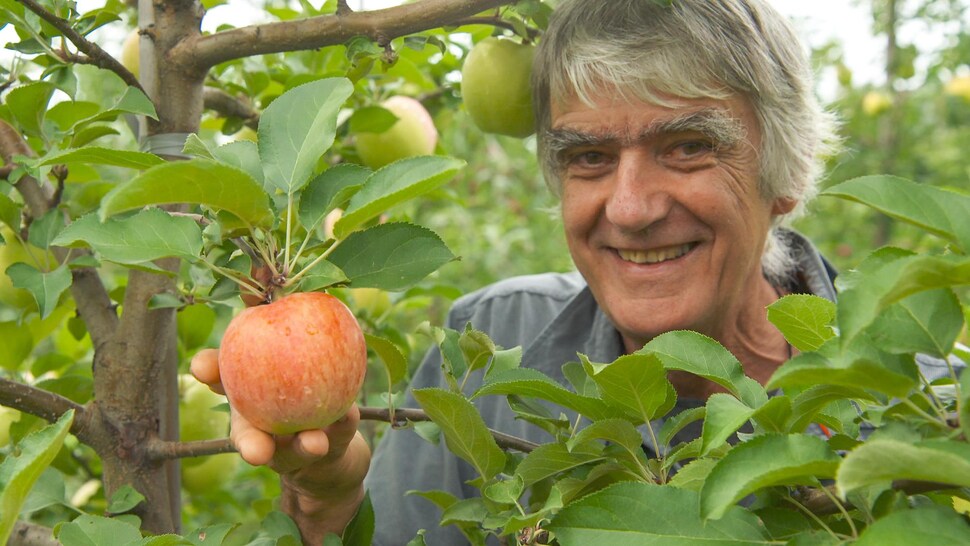 L'homme aux cheveux gris pose à côté d'une pomme.