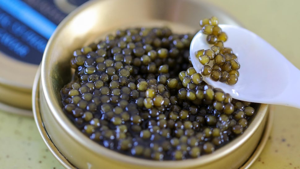 Du caviar à la teinte verdâtre dans un contenant doré. 