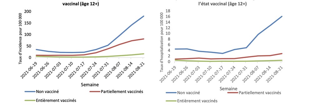 Graphique montrant que le taux d'infection et d'hospitalisation augmente peu importe le statut vaccinal, mais considérablement plus pour les personnes non immunisées. 