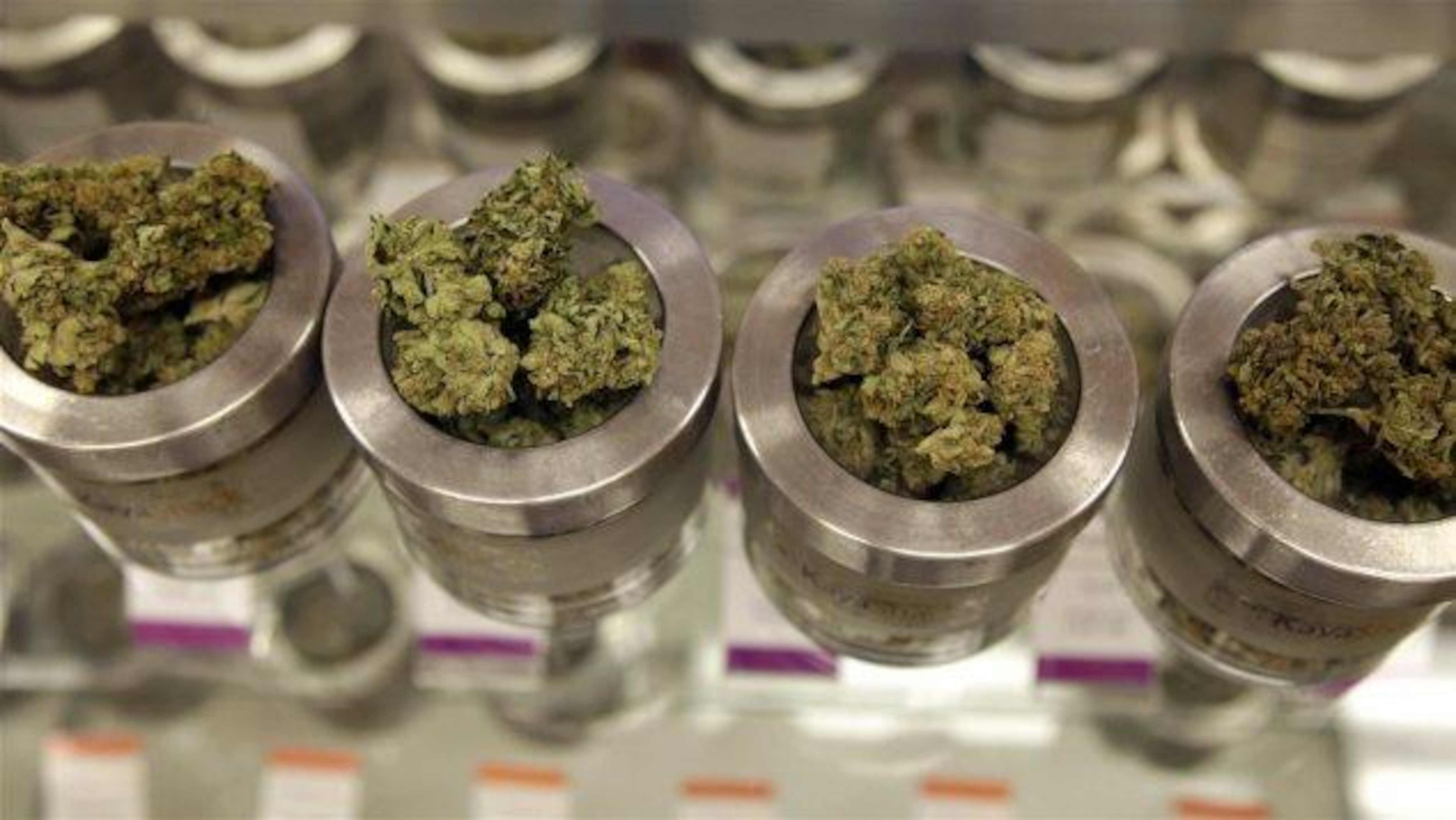 Le cannabis est dans de petits pots de verre.