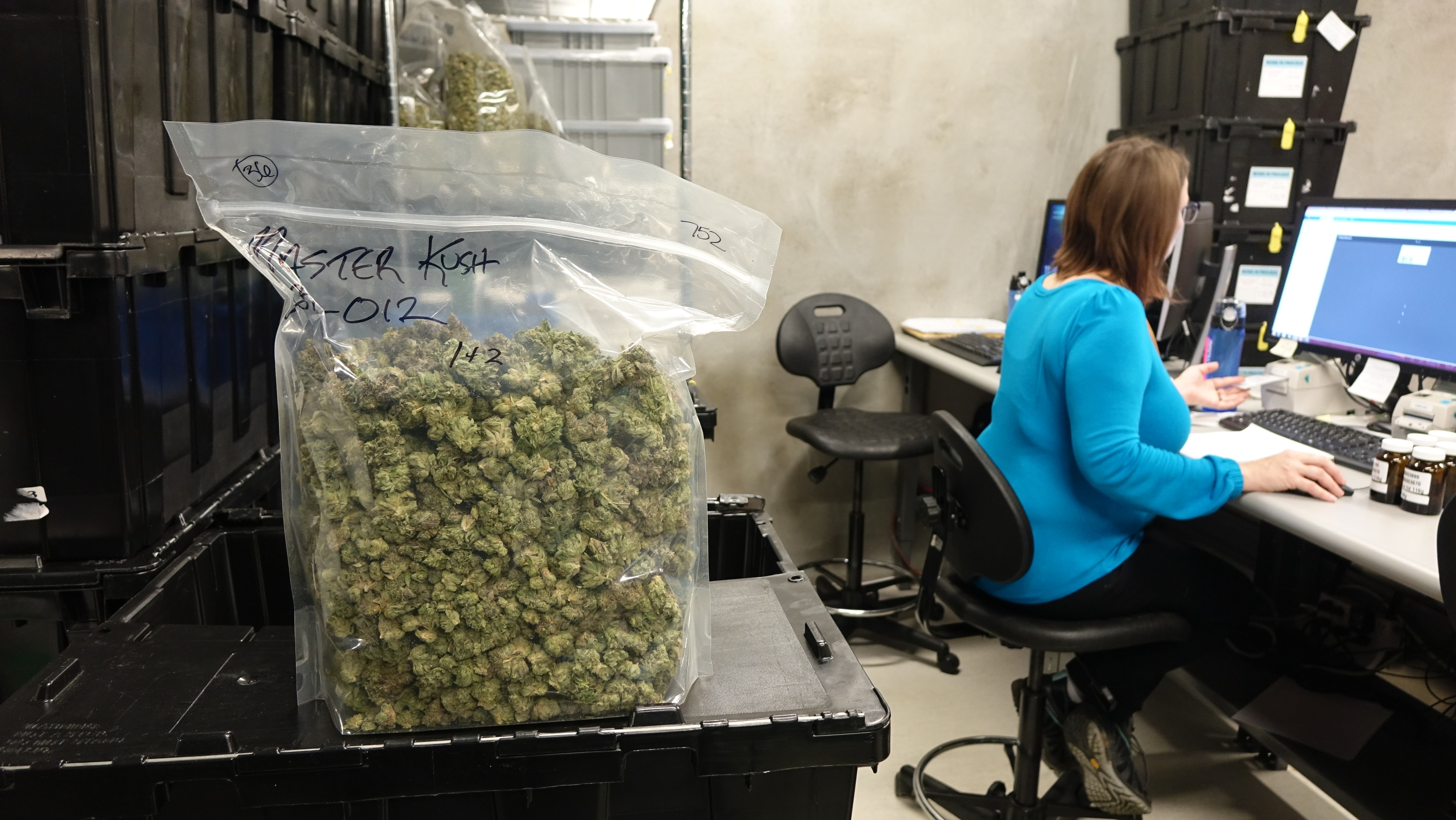 Un sac de cannabis près d'une femme devant un ordinateur.