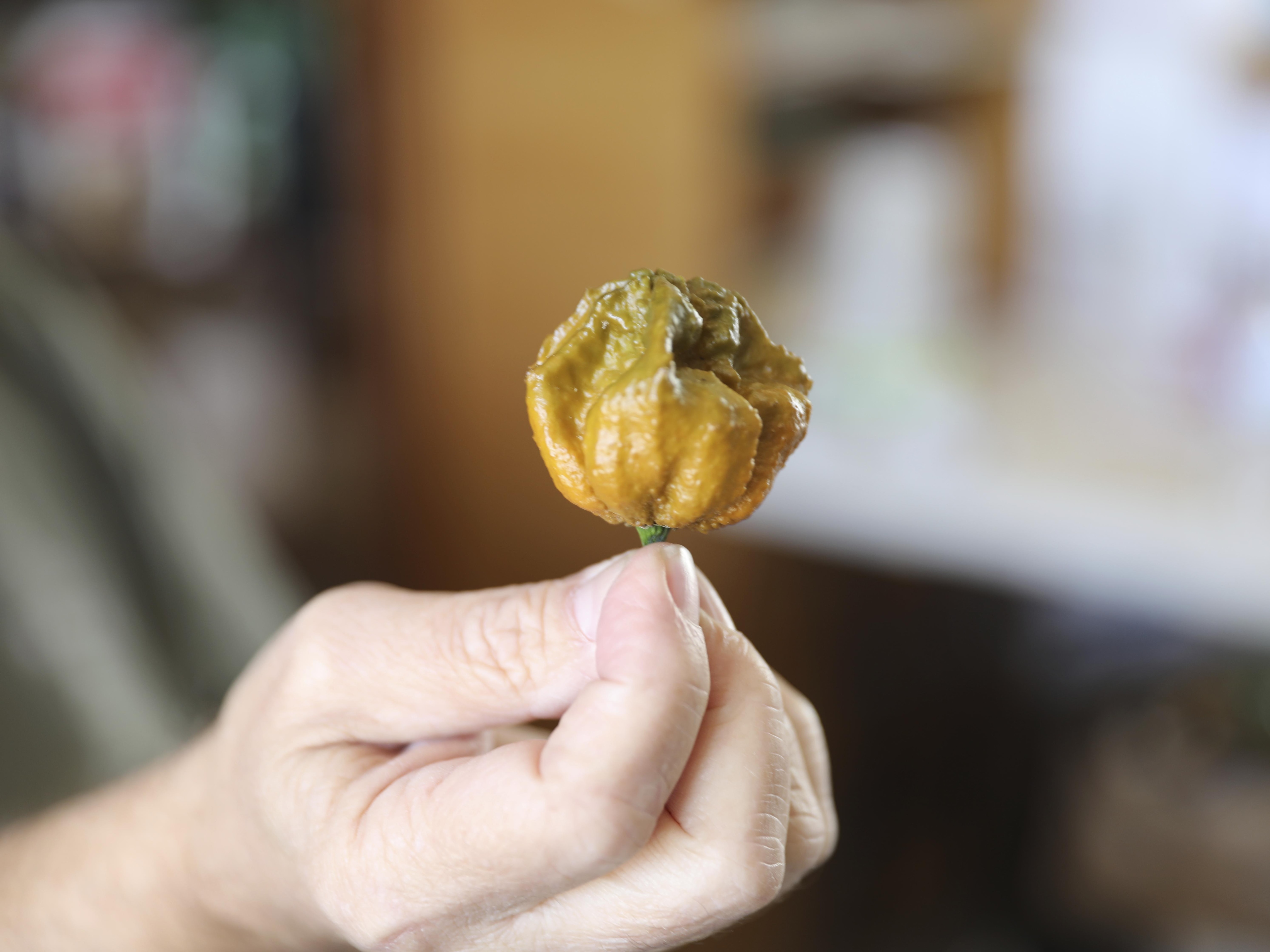 le piment le plus fort du monde