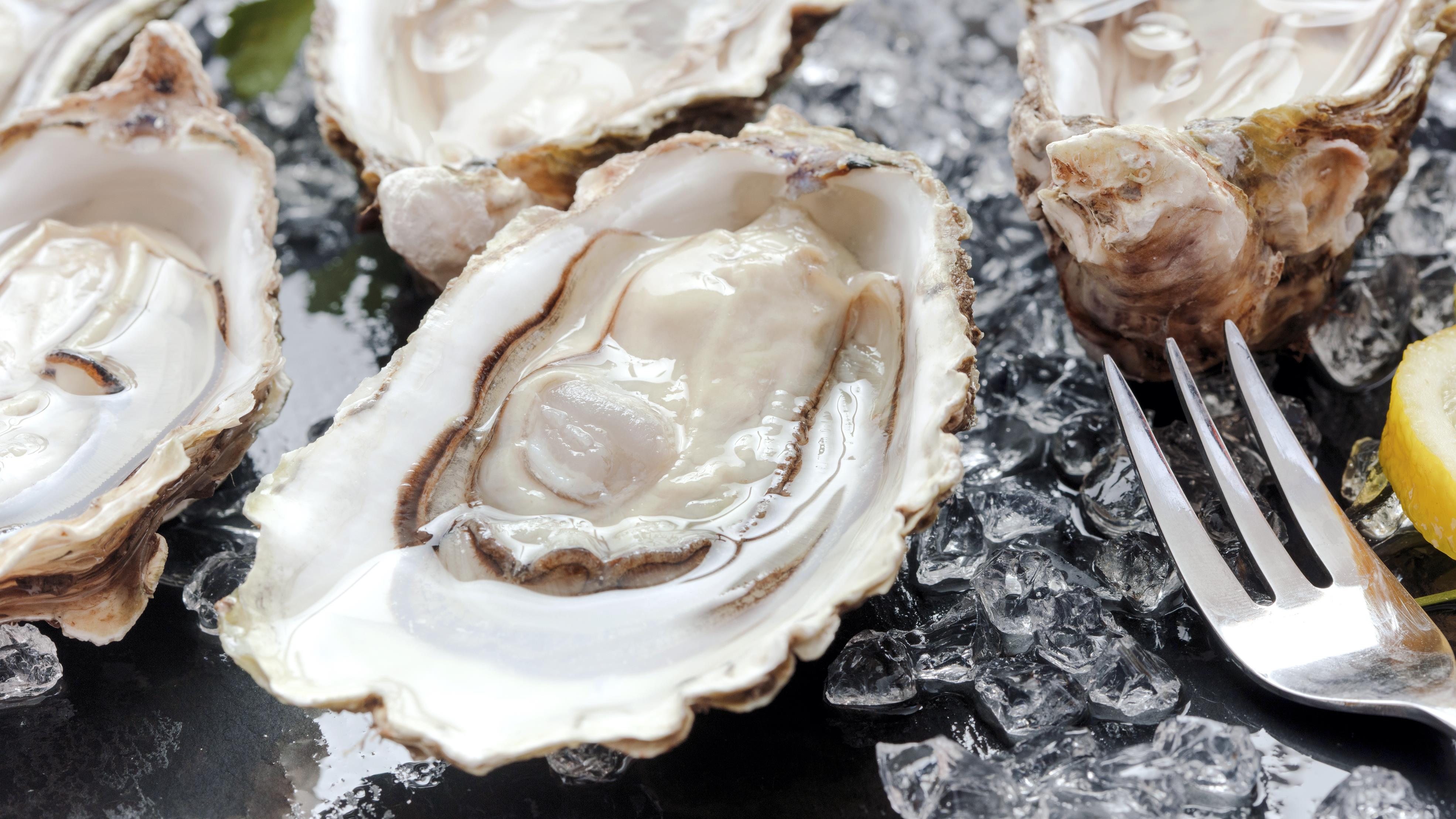 9 façons de vérifier si vos huîtres sont fraîches