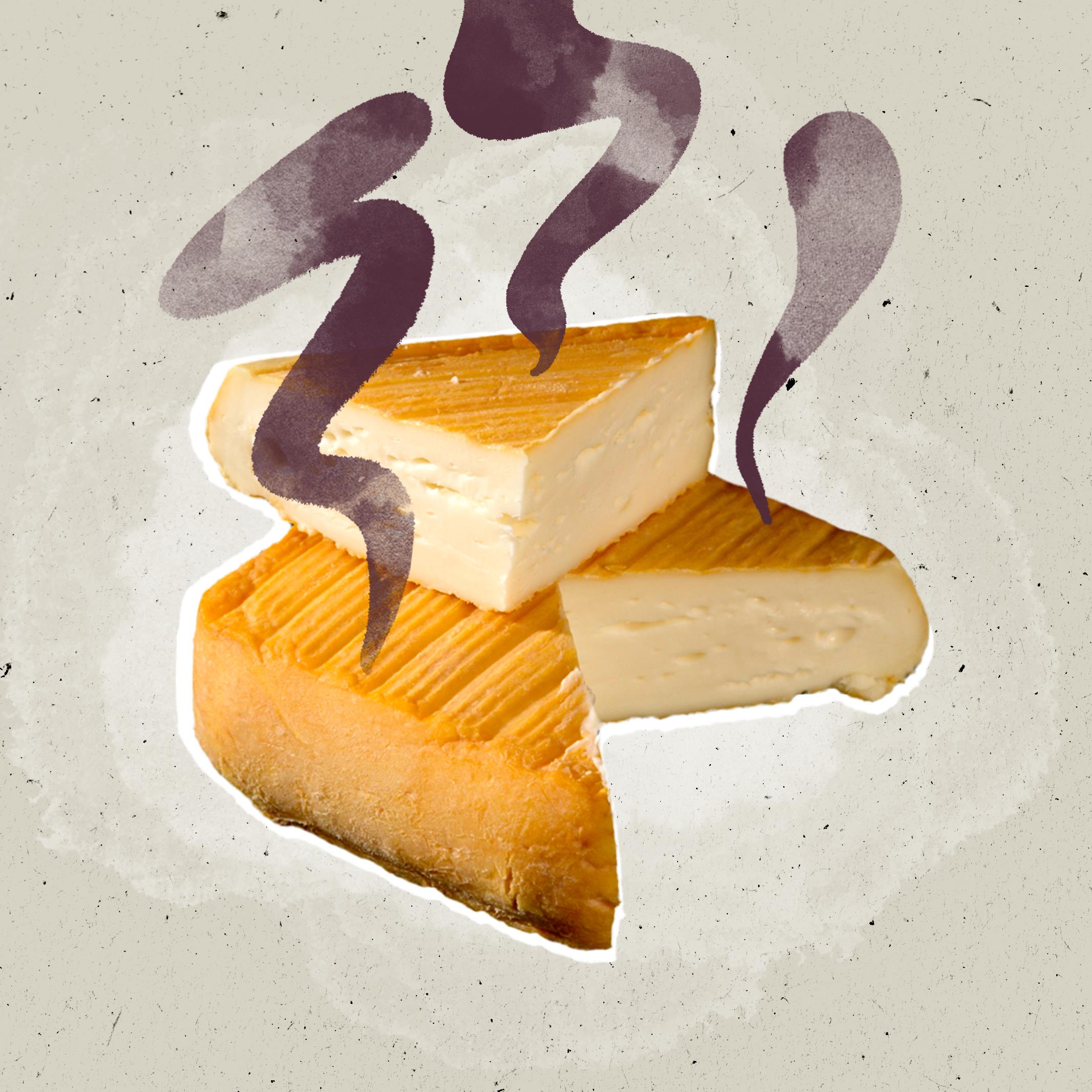 Les fromages qui puent sont en odeur de sainteté