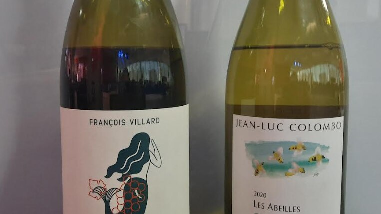 L'heure de l'apéro : vins des Côtes-du-Rhône | OHdio | Radio-Canada