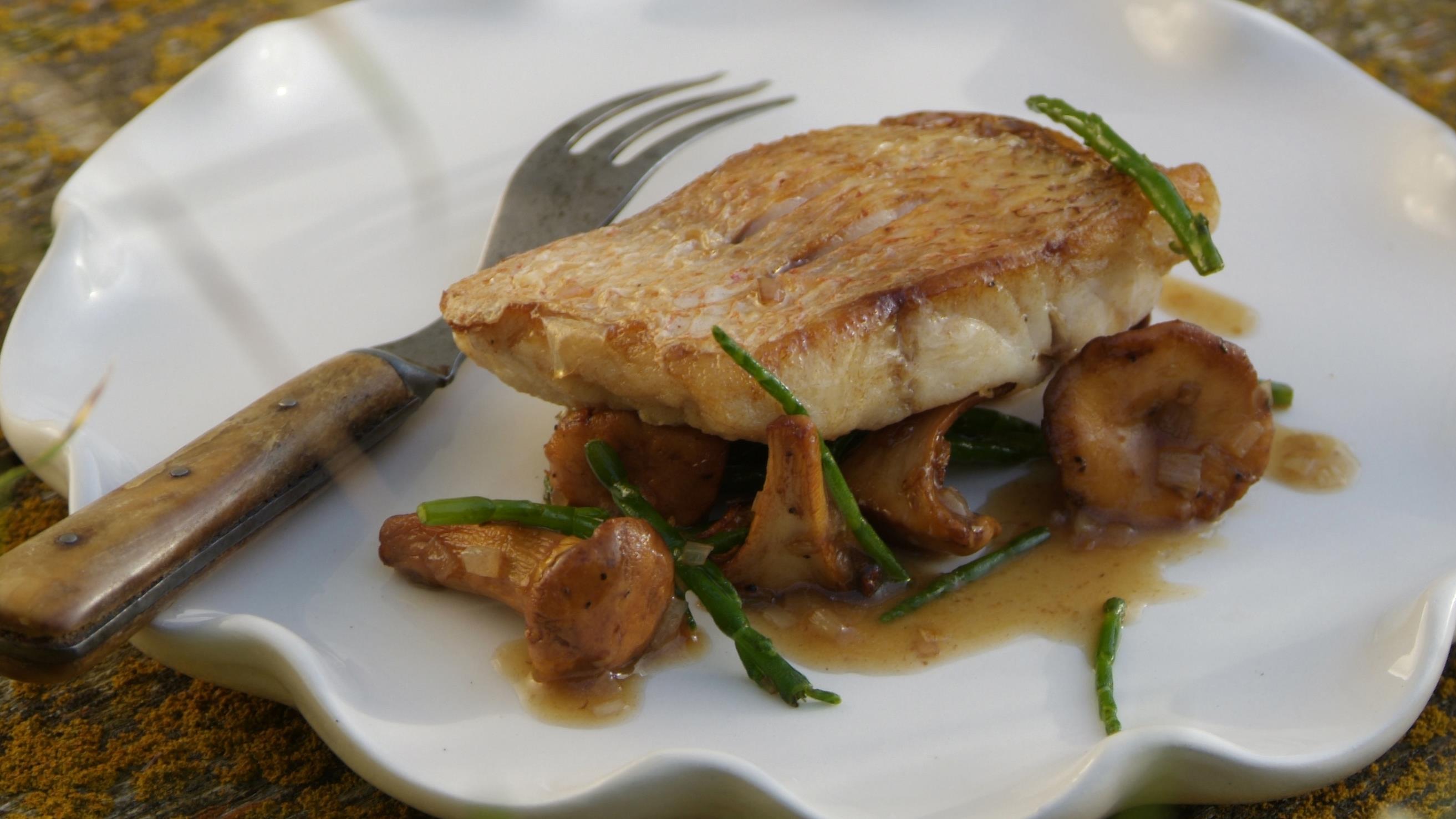 Recette Black Bass à La Poêle Filets de vivaneau, poêlée de chanterelles et de salicornes sautées | Mordu