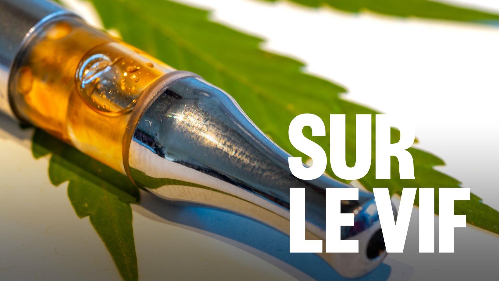 Du cannabis plus puissant qu’il y a 40 ans