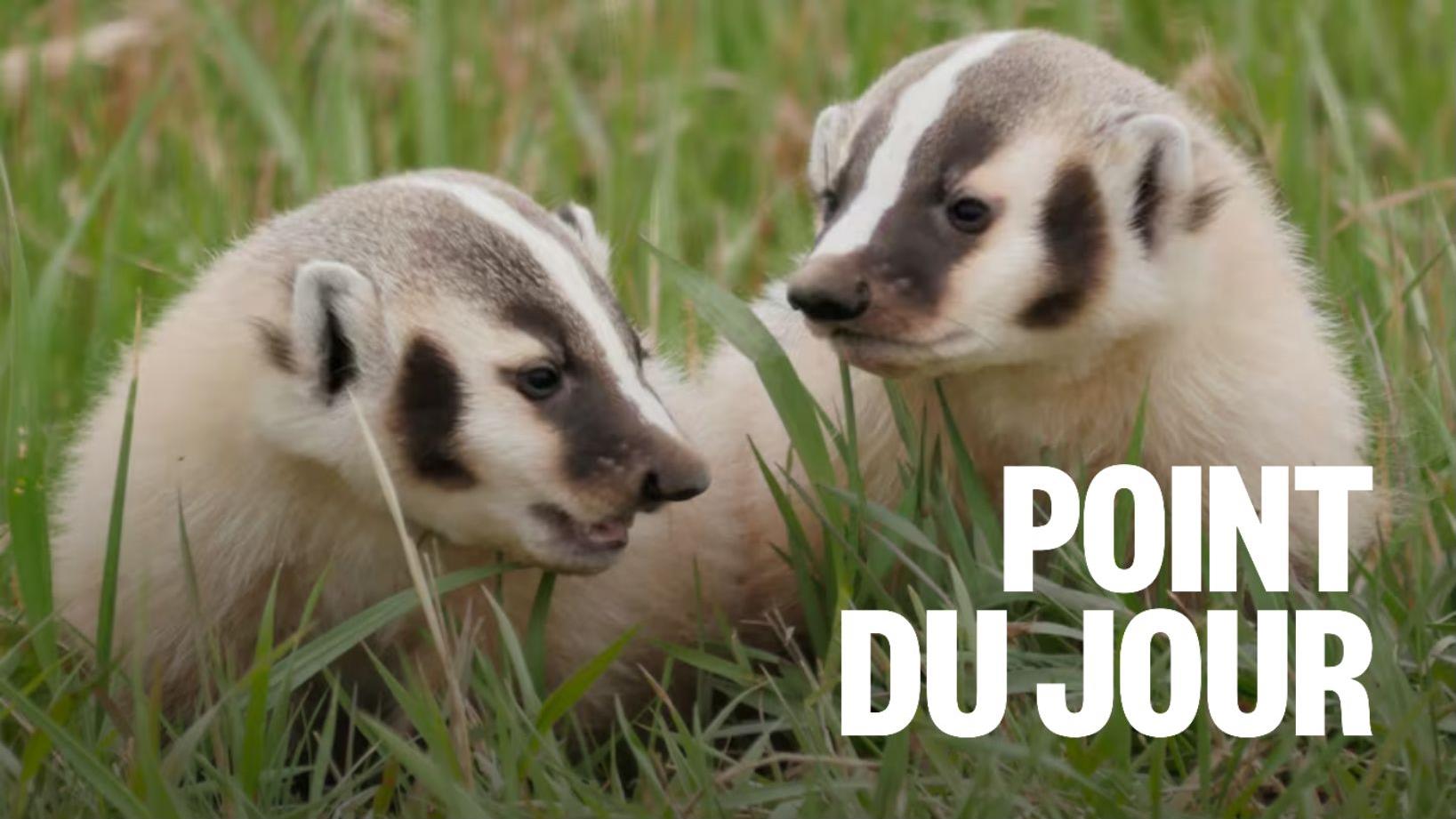 Controverse autour des limites proposées pour un parc national à Saskatoon