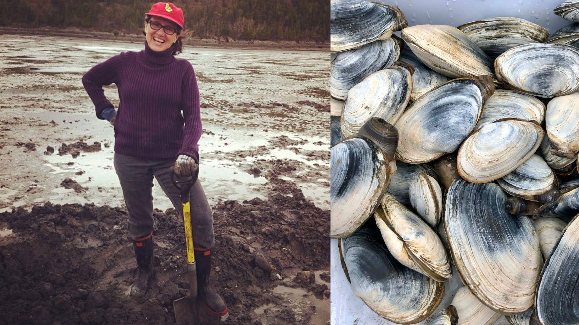 La pêche aux coques, un patrimoine ancré dans le sable et la roche