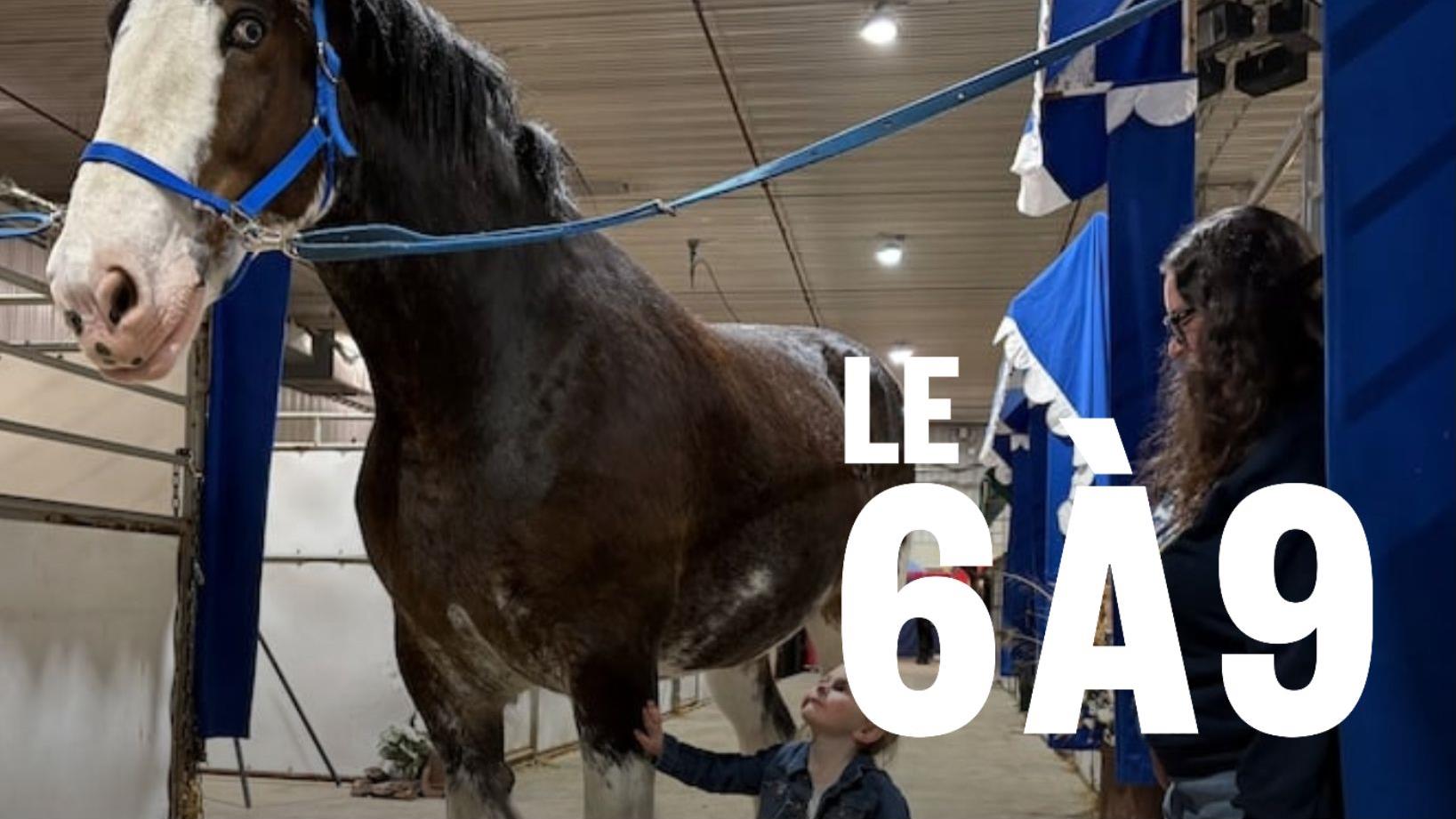 La Royal Manitoba Winter Fair bat son plein à Brandon