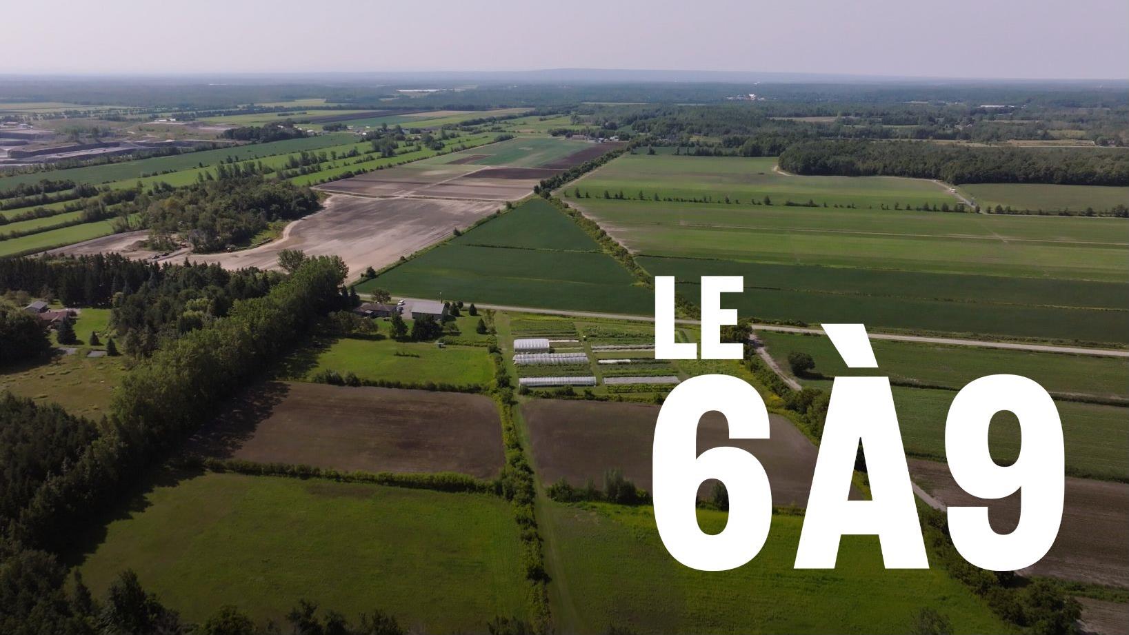 Les terres agricoles au Manitoba ont la plus haute valeur au Canada
