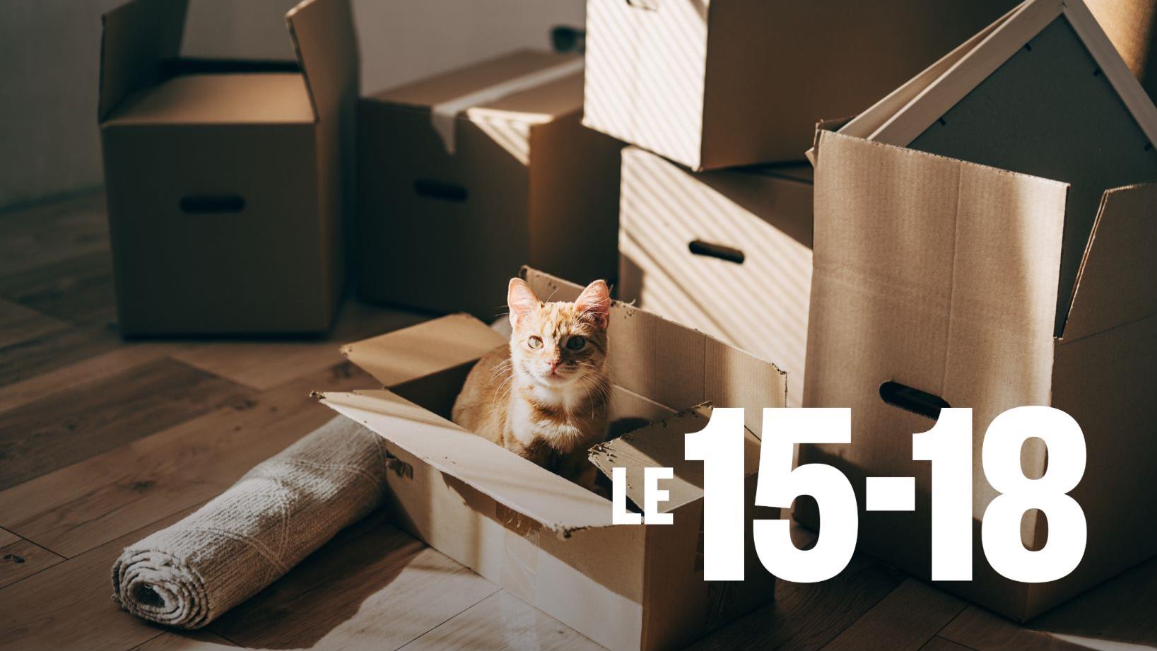 Fini les boîtes gratuites à la SAQ : un geste loin d’être écolo
