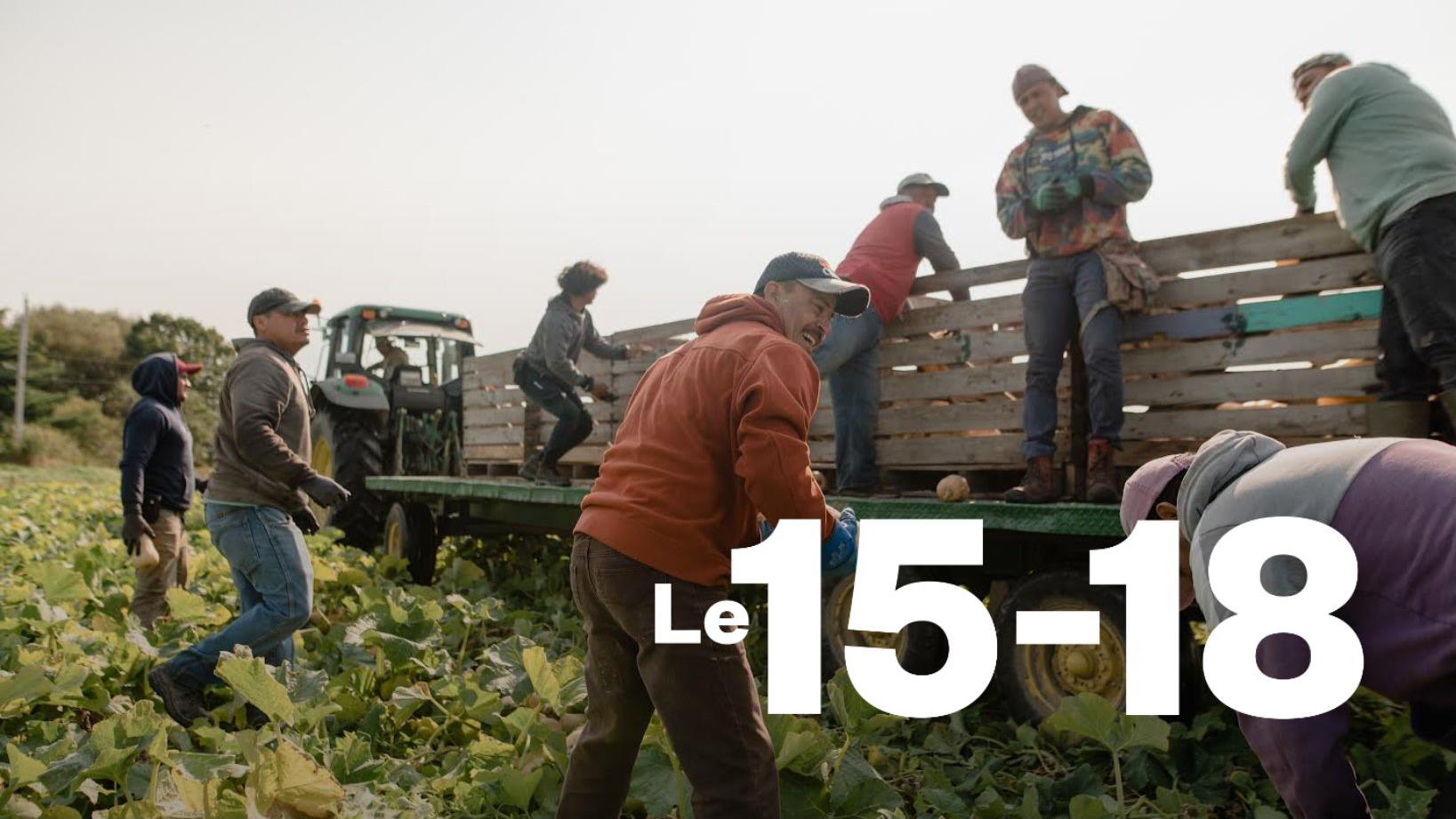 Souligner en photos la contribution des travailleurs saisonniers ...