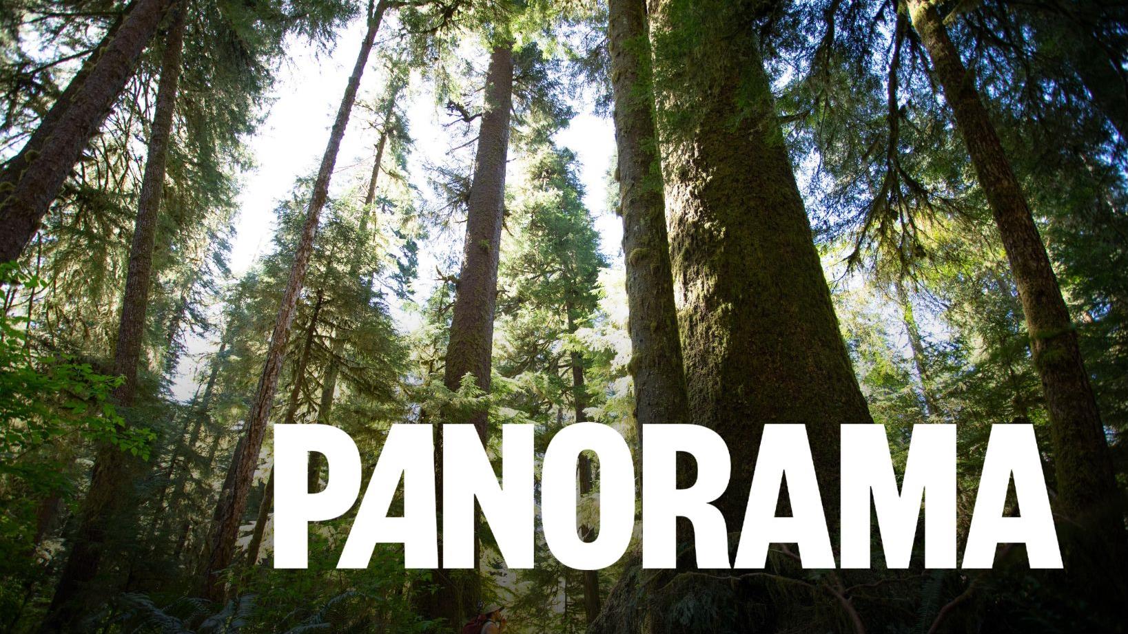 Un barrage doit être démantelé dans la vallée de Walbran