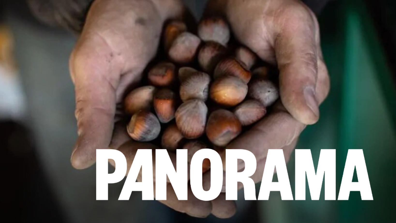 Découvrez les noisettes de la Colombie-Britannique