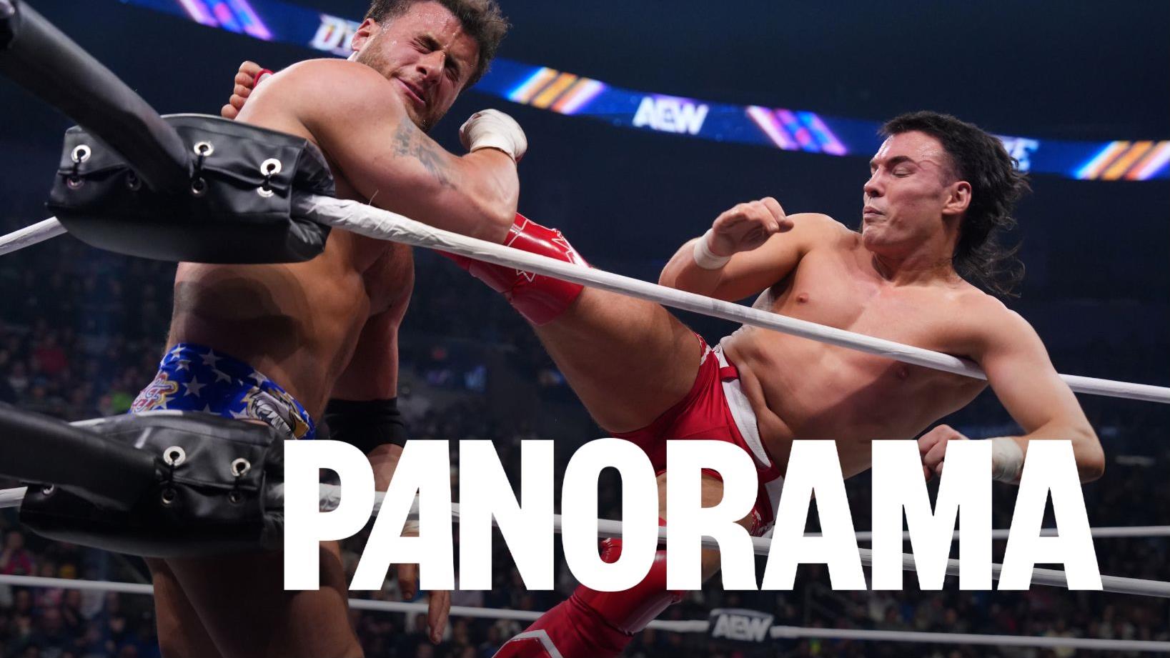Le lutteur Speedball Mike Bailey raconte son histoire