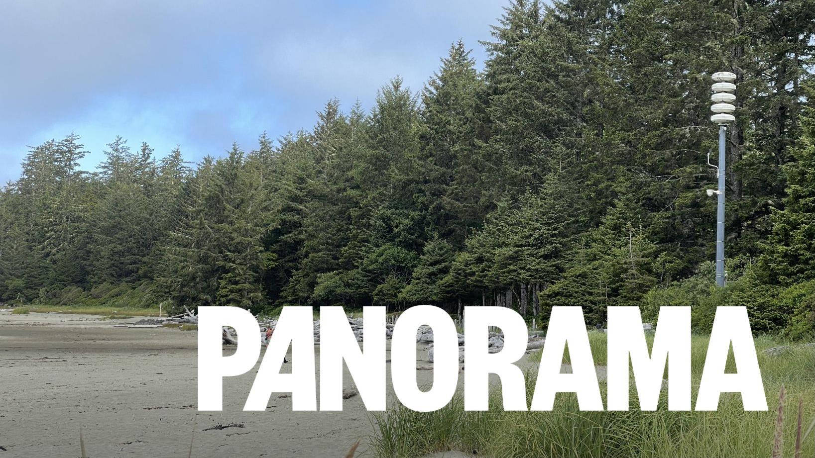 Tout ce que vous ne savez (peut-être) pas à propos de Tofino