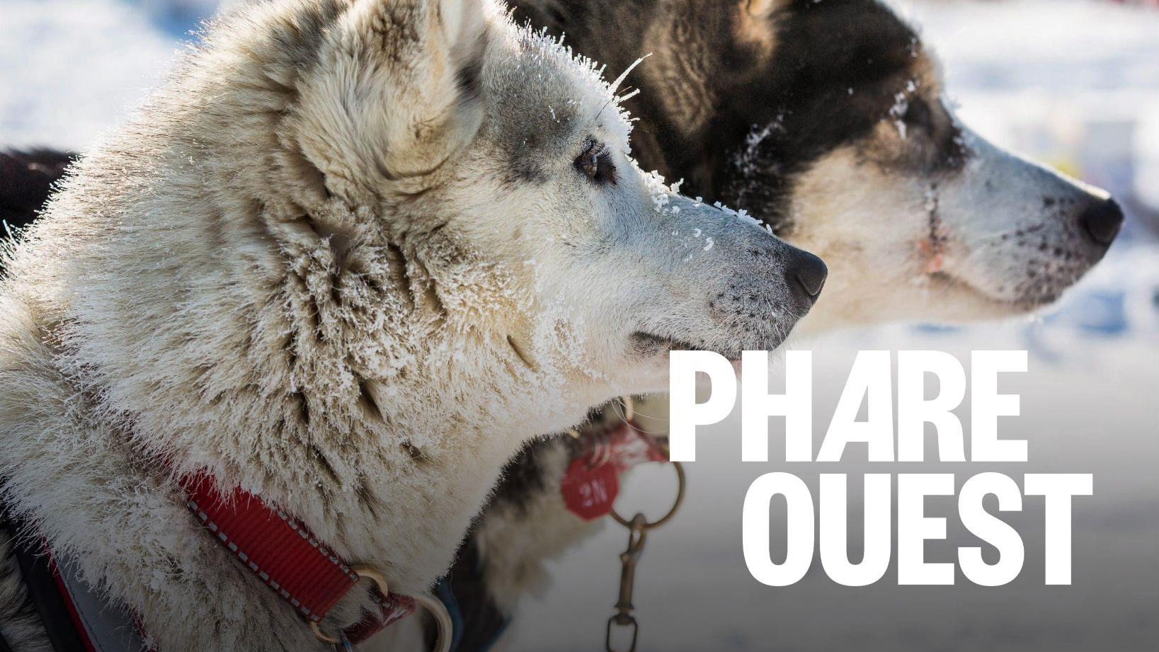 Départ de la course de chiens de traîneaux Percy Dewolf à Dawson