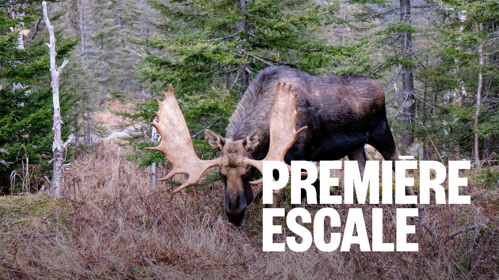 Moments coup de cœur de Renée : quand la chasse s’ajuste au climat
