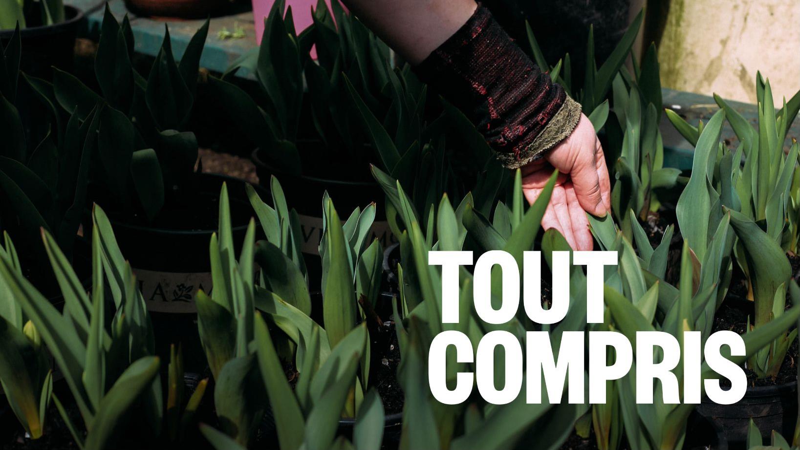 Les effets bénéfiques des plantes sur la santé mentale