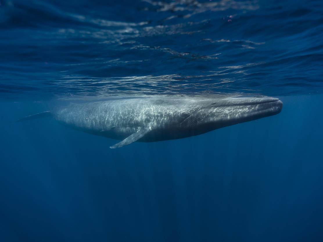 L’année 2025 vue depuis la mer