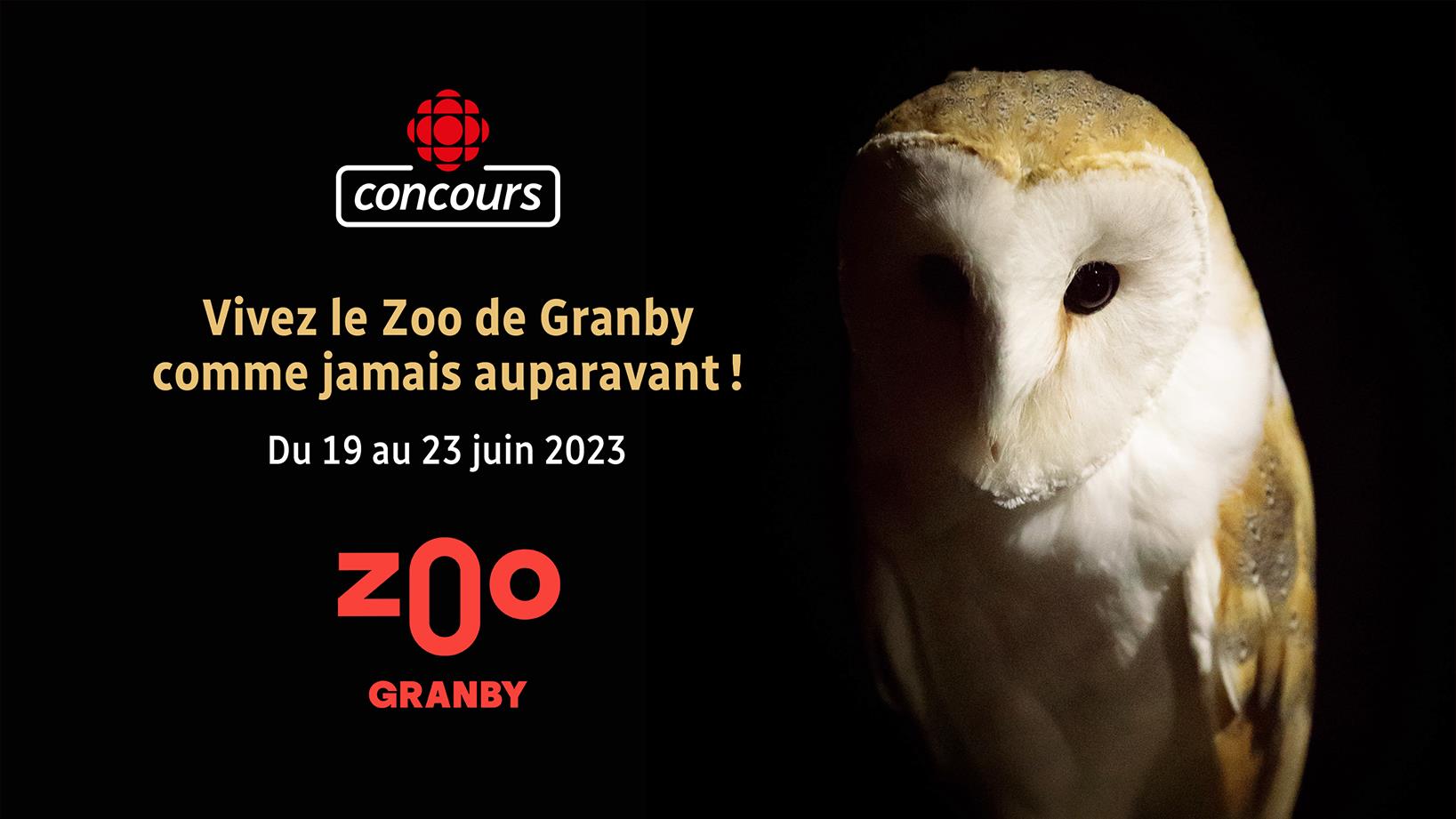 Vivez Le Zoo De Granby Comme Jamais Auparavant Gr Ce Radio Canada   Par Concours Zoodegranby Spritesheet Teaser 