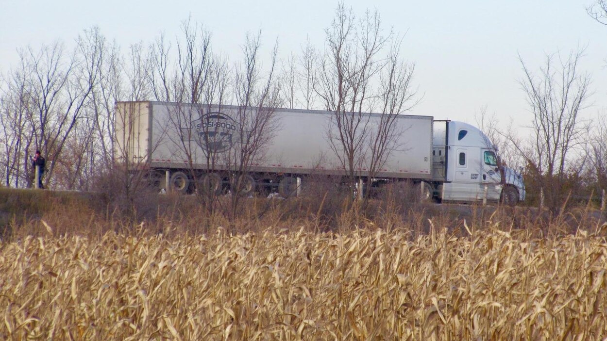 Un piéton perd la vie dans une collision au sud de Vankleek Hill