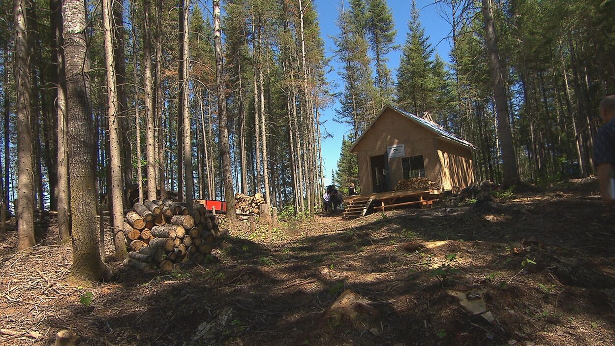 Une nouvelle école en forêt à FerlandetBoilleau RadioCanada