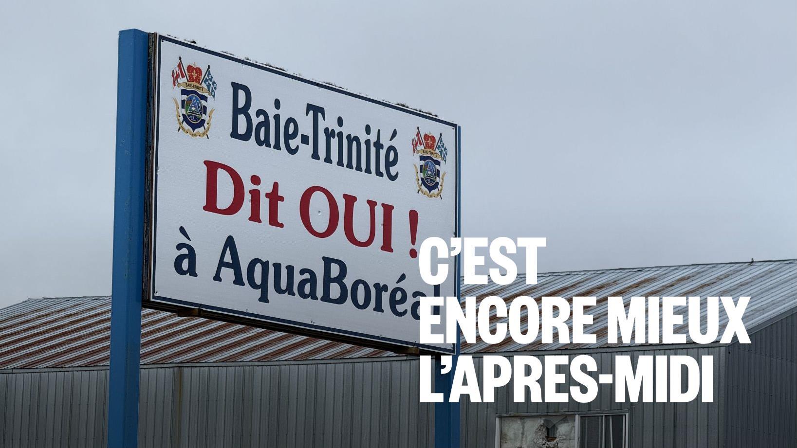 Québec, la future puissance du saumon?