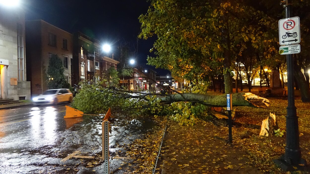 Tempête pannes d'électricité et écoles fermées en Mauricie et au