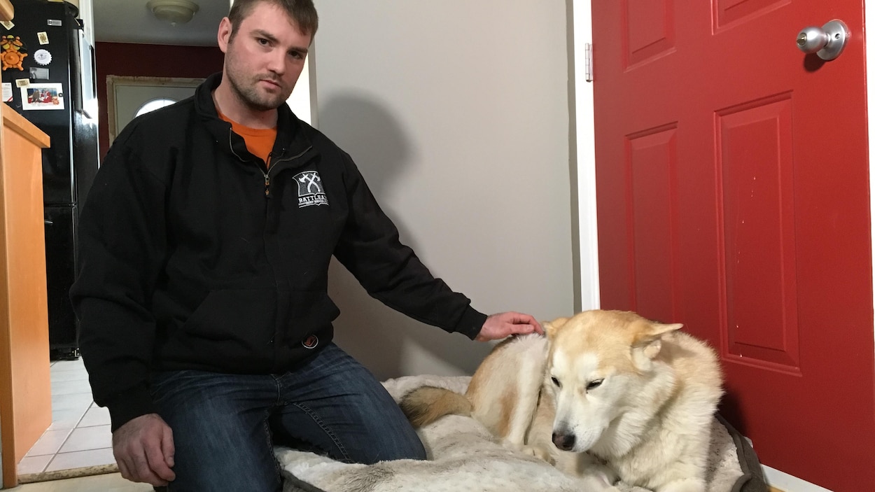 Un homme frappe un cougar à mains nues pour protéger son chien |  Radio-Canada