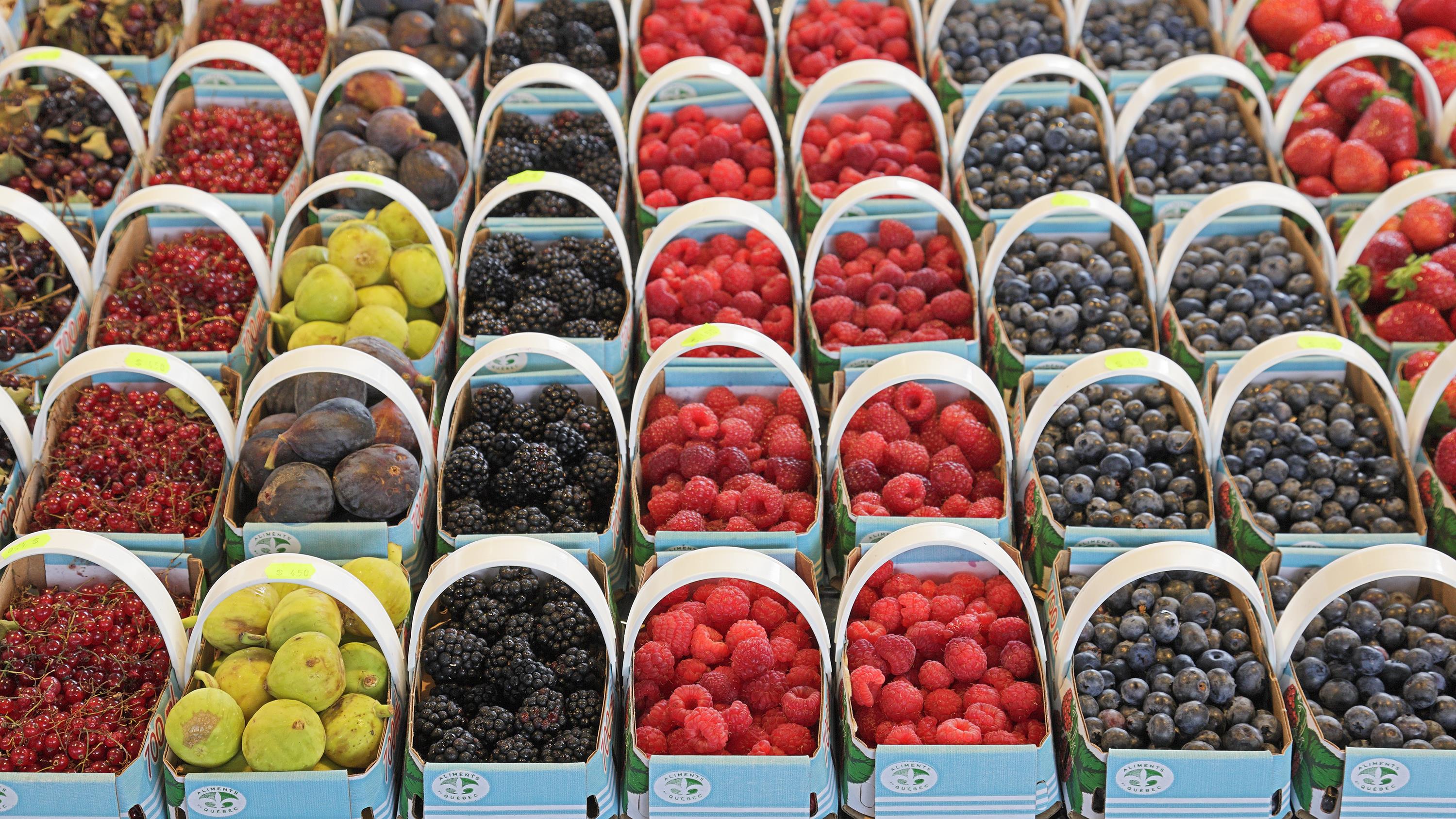 Fruits et légumes frais : aliments pour la santé. En savoir plus!