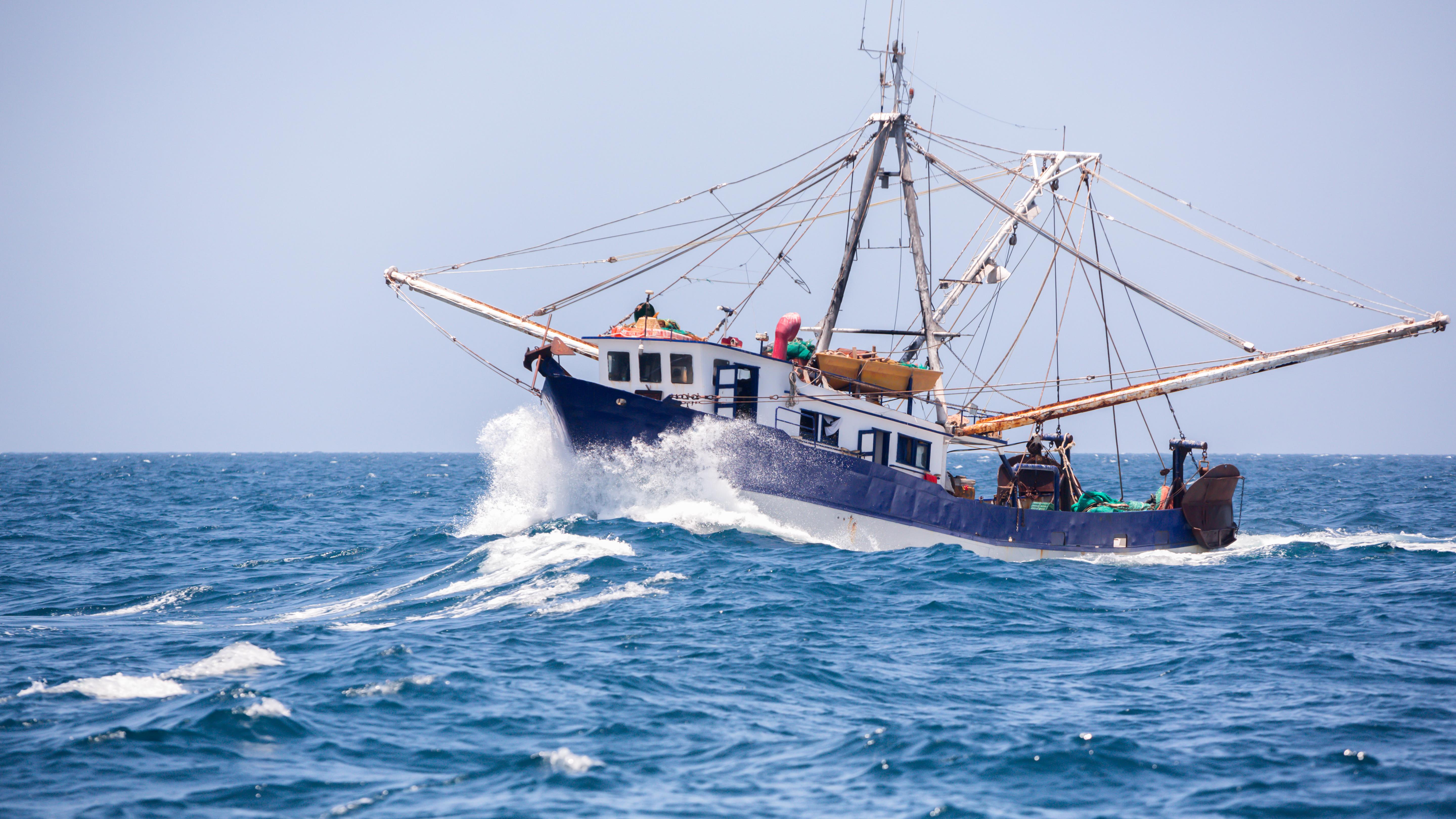 Peche En Haute Mer Des Distances Deux Fois Plus Grandes Pour Trois Fois Moins De Poissons Radio Canada Ca