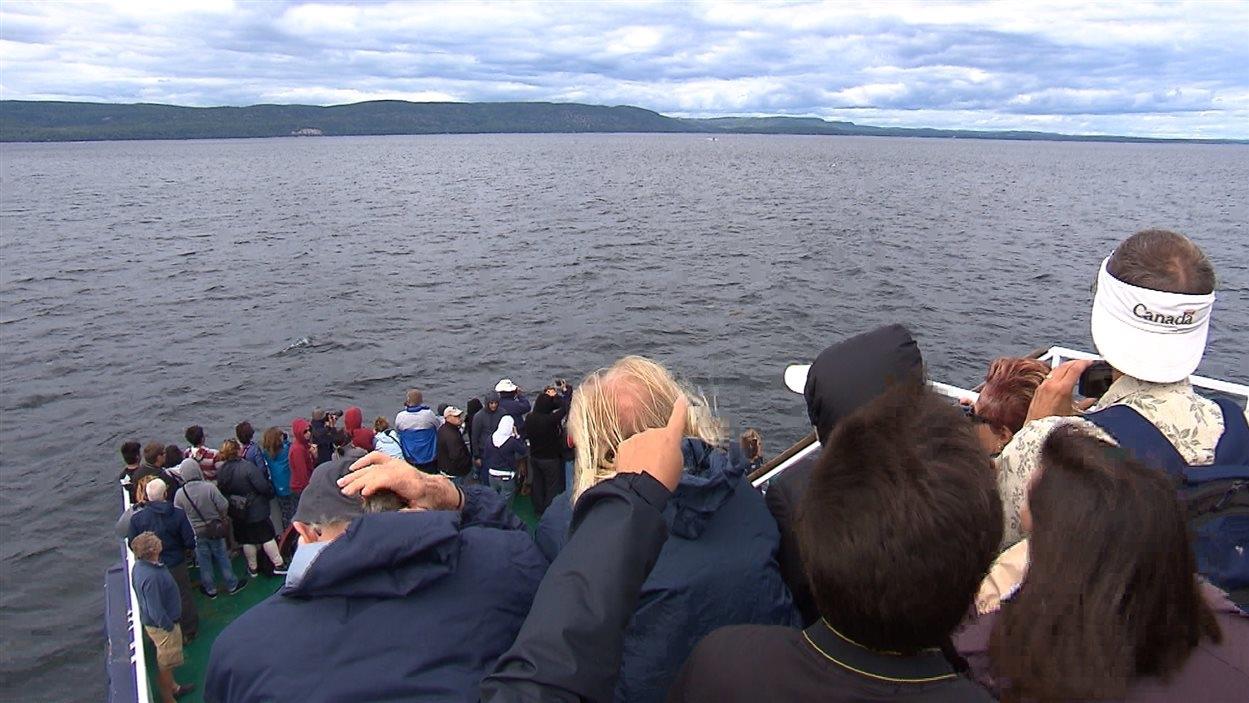 Début De Saison Pour Croisières AML à Tadoussac