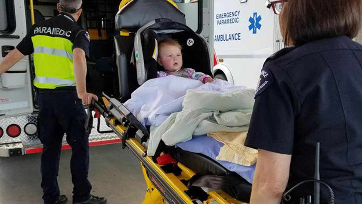 Une Enfant De 8 Mois Est Hospitalisee A Cause D Une Chenille Toxique Radio Canada Ca