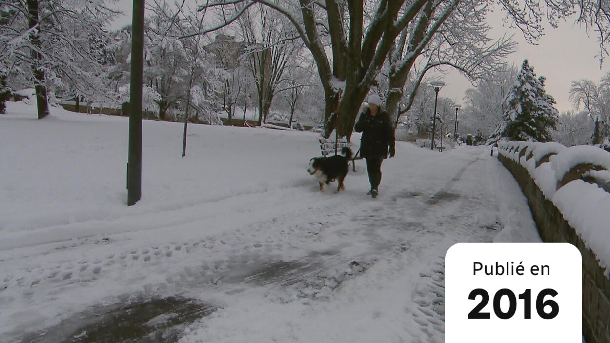 Sentier Ancien Zoo Quebec : Come Witness The Proximity Of Almost 1000 Live Animals In Natural Wide Open Spaces.