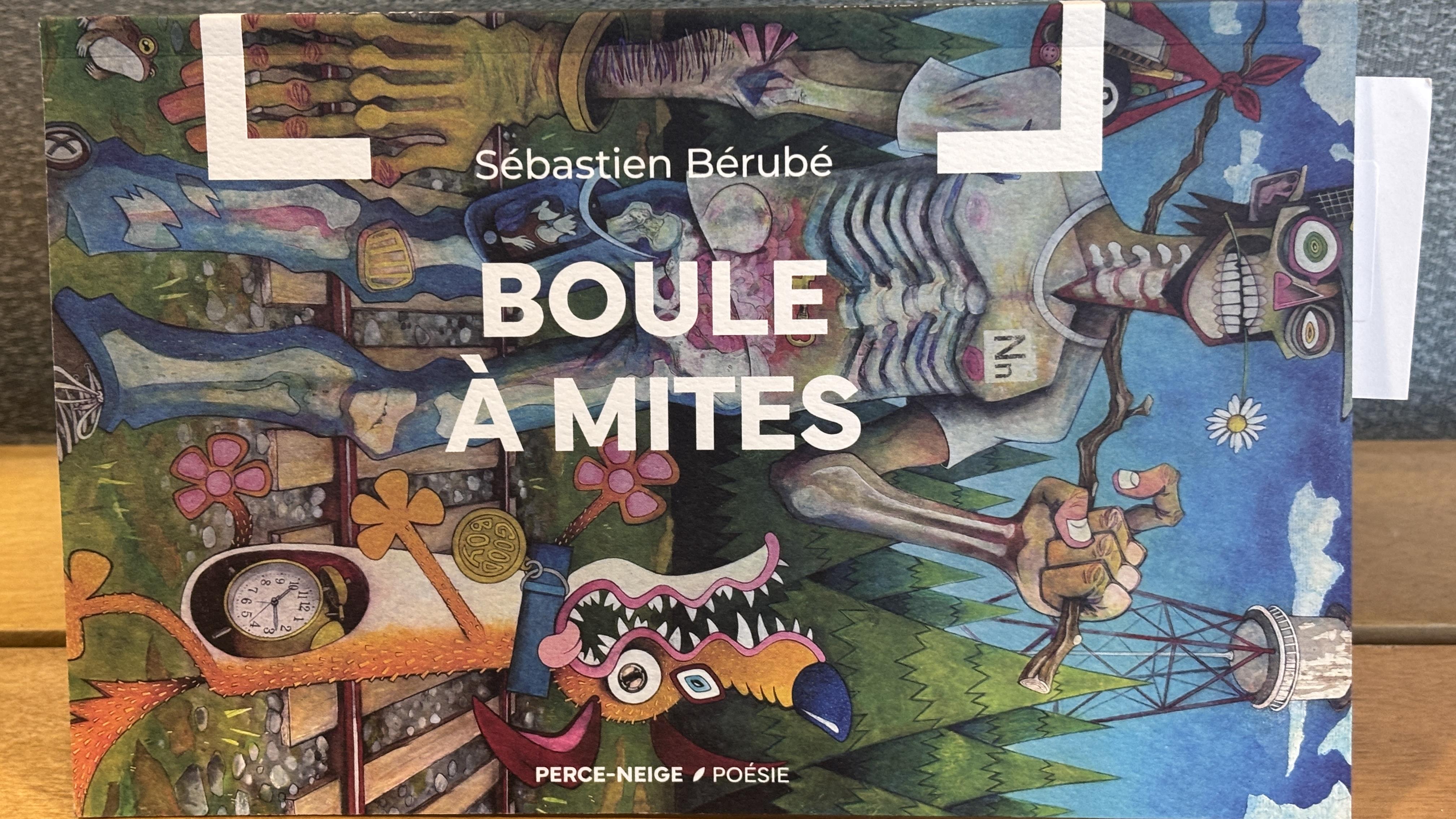 Boule à mites : le quatrième recueil de Sébastien Bérubé