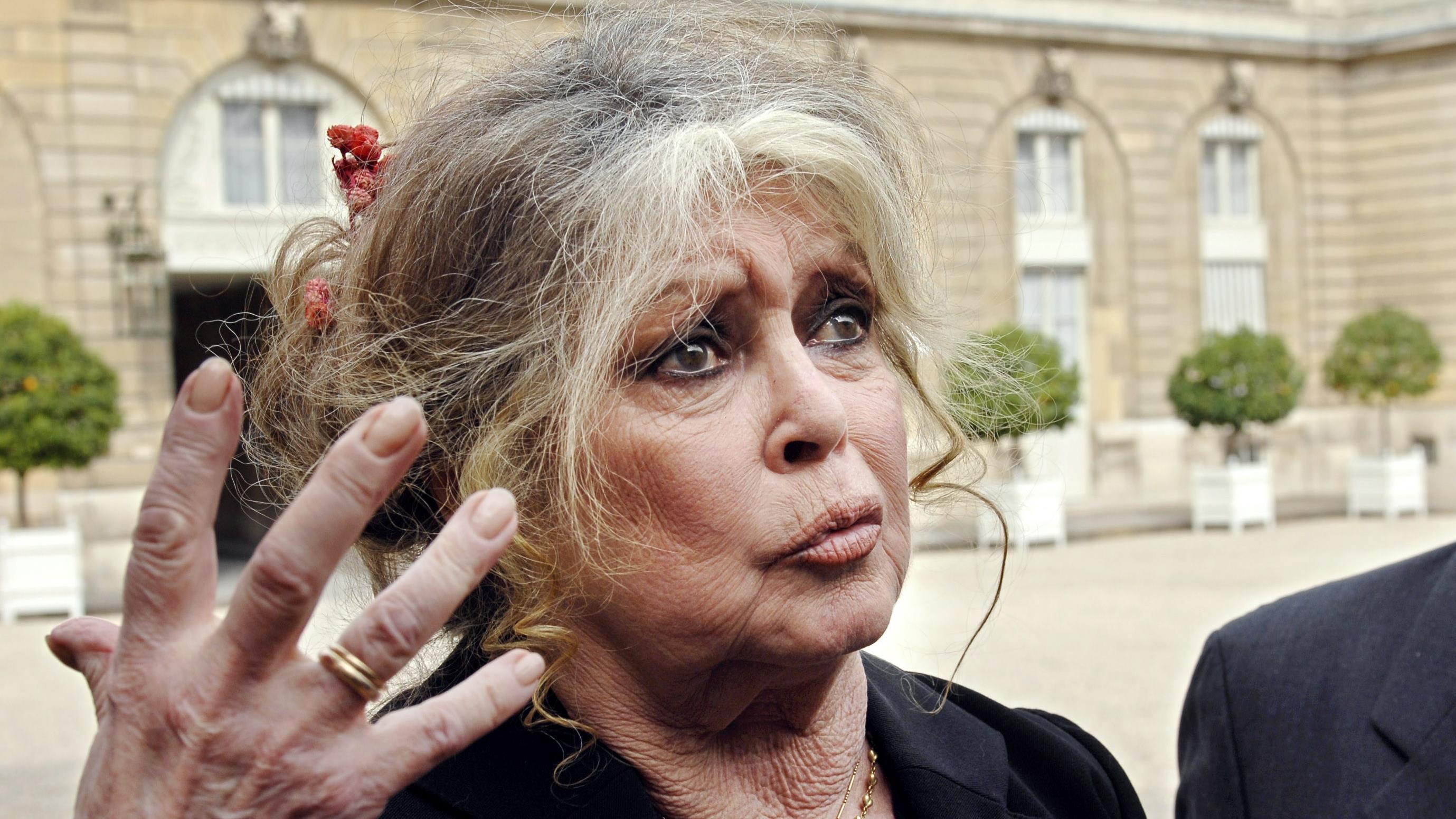 Harcelement Brigitte Bardot S En Prend Aux Actrices Qui Font Les Allumeuses Radio Canada Ca Harcelement Brigitte Bardot S En Prend Aux Actrices Qui Font Les Allumeuses Radio Canada Ca