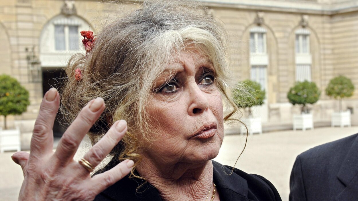 Harcelement Brigitte Bardot S En Prend Aux Actrices Qui Font Les Allumeuses Radio Canada Ca