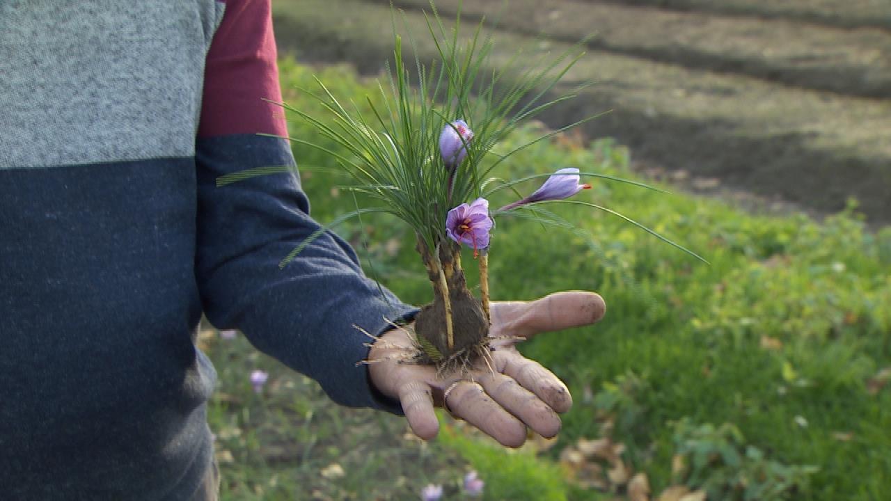 Comment bien mettre fin à sa saison de jardinage