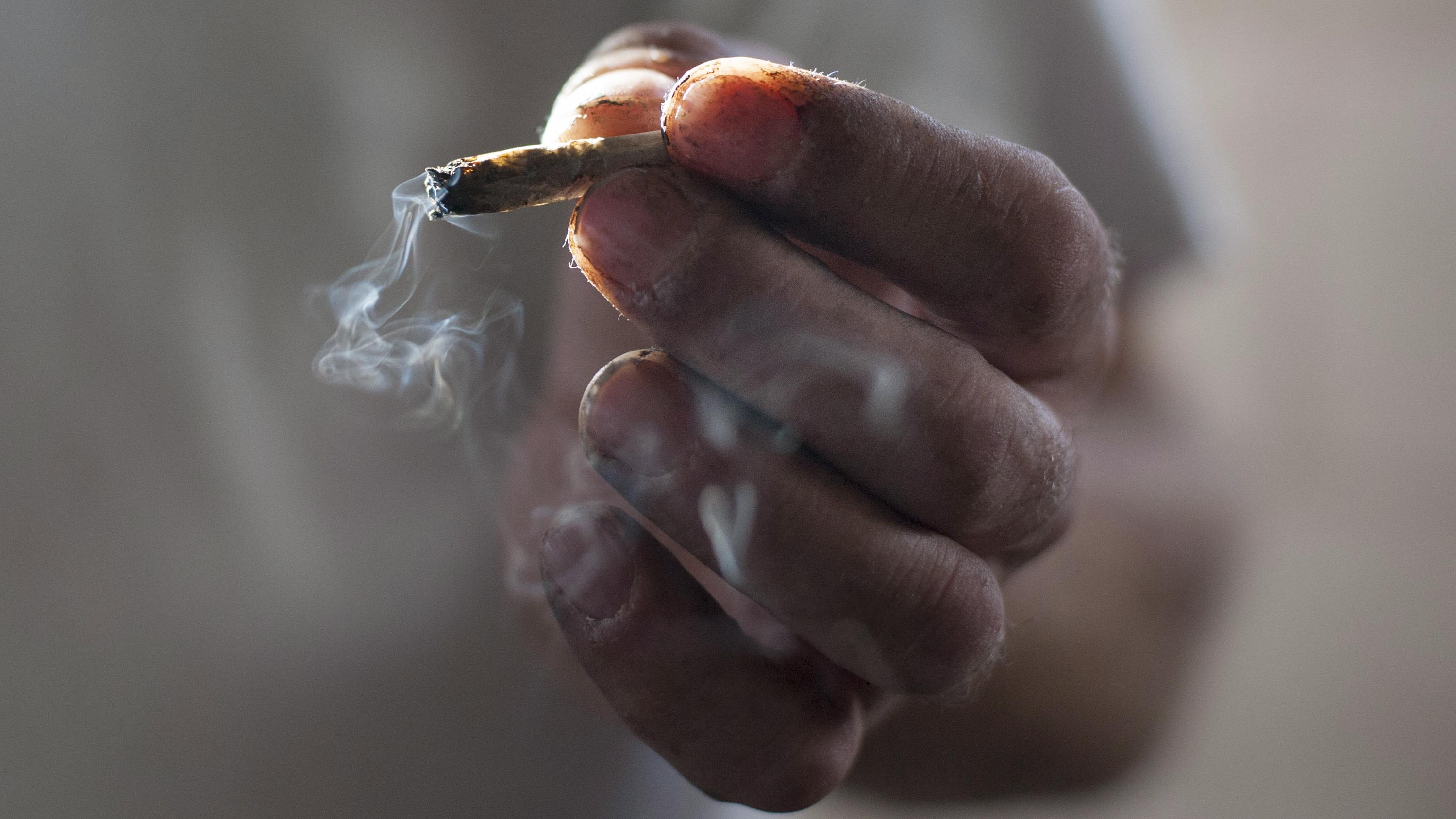 L Impact De La Fumee De Cannabis Sur Les Non Fumeurs Reste Meconnu Radio Canada Ca L Impact De La Fumee De Cannabis Sur Les Non Fumeurs Reste Meconnu Radio Canada Ca