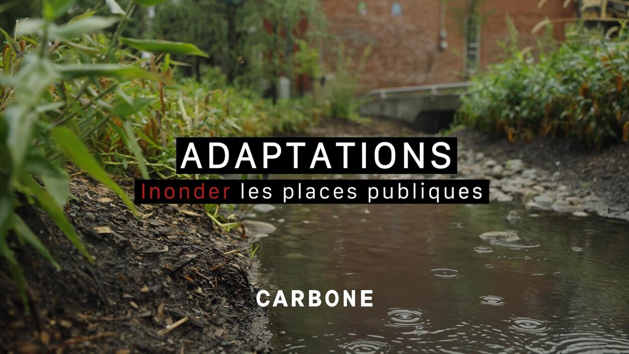 Inonder les places publiques | Radio-Canada