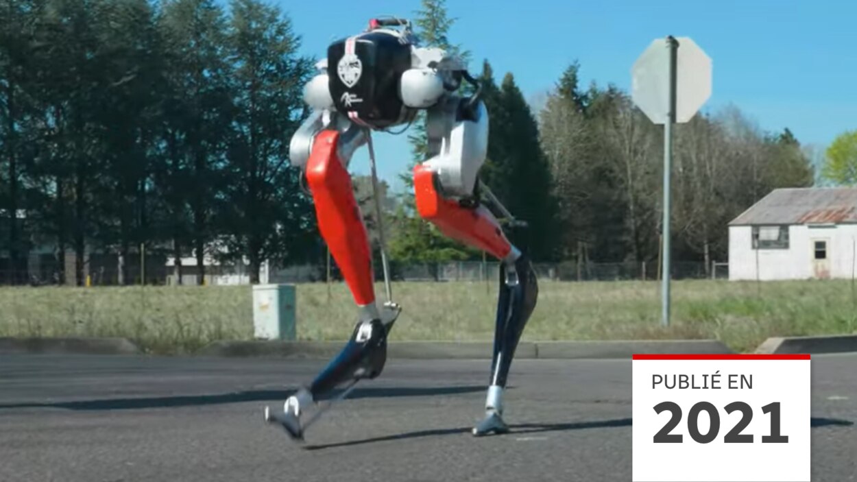 Le robot Cassie apprend à marcher tout seul sur ses deux jambes ! Une  première
