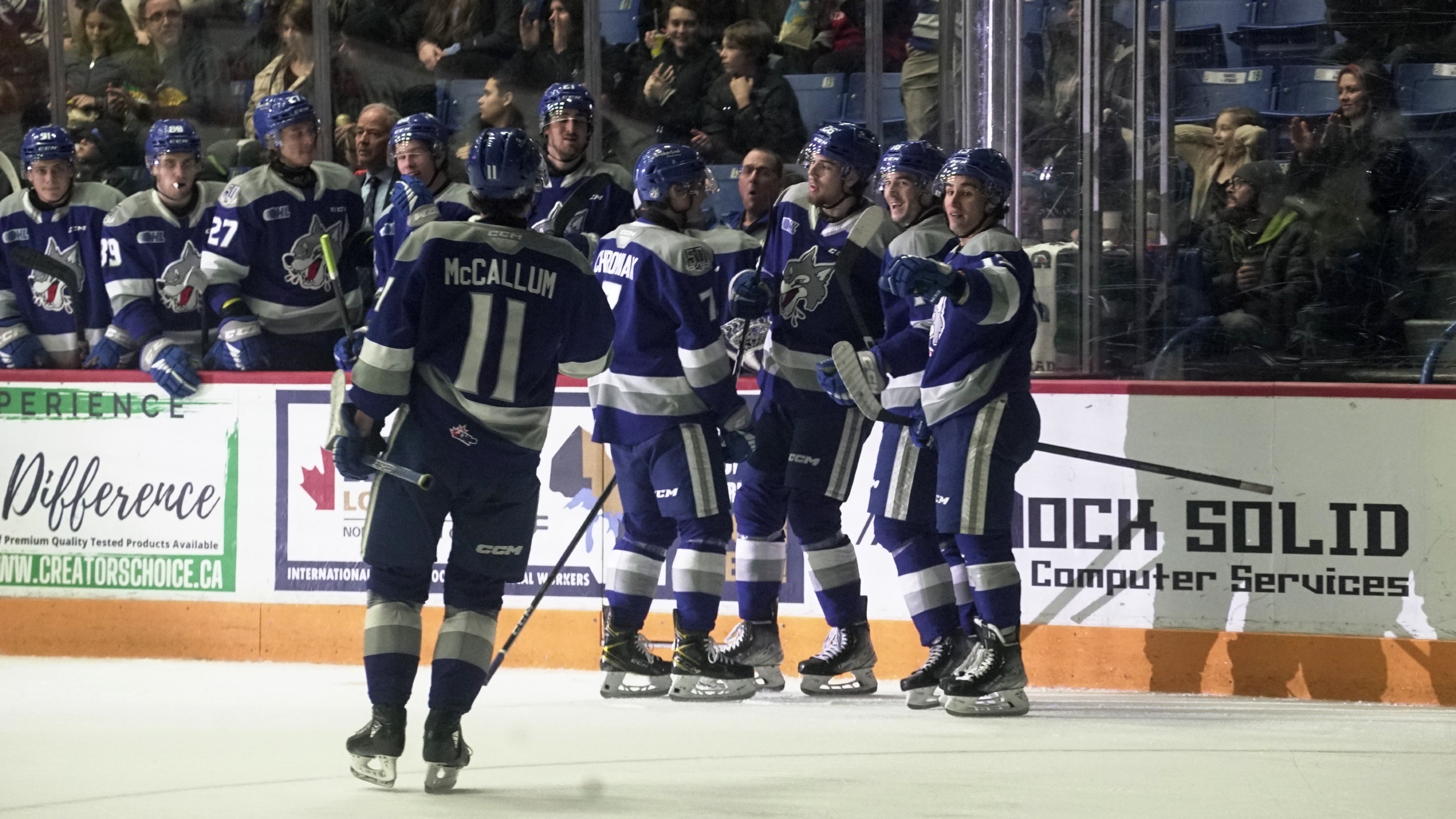 De Lespoir Malgré Une élimination Rapide Pour Les Wolves De Sudbury