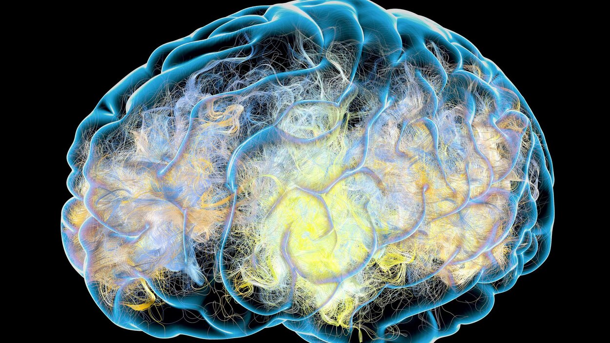 Retrouver la mémoire ravagée par l’alzheimer : une lueur d'espoir ...