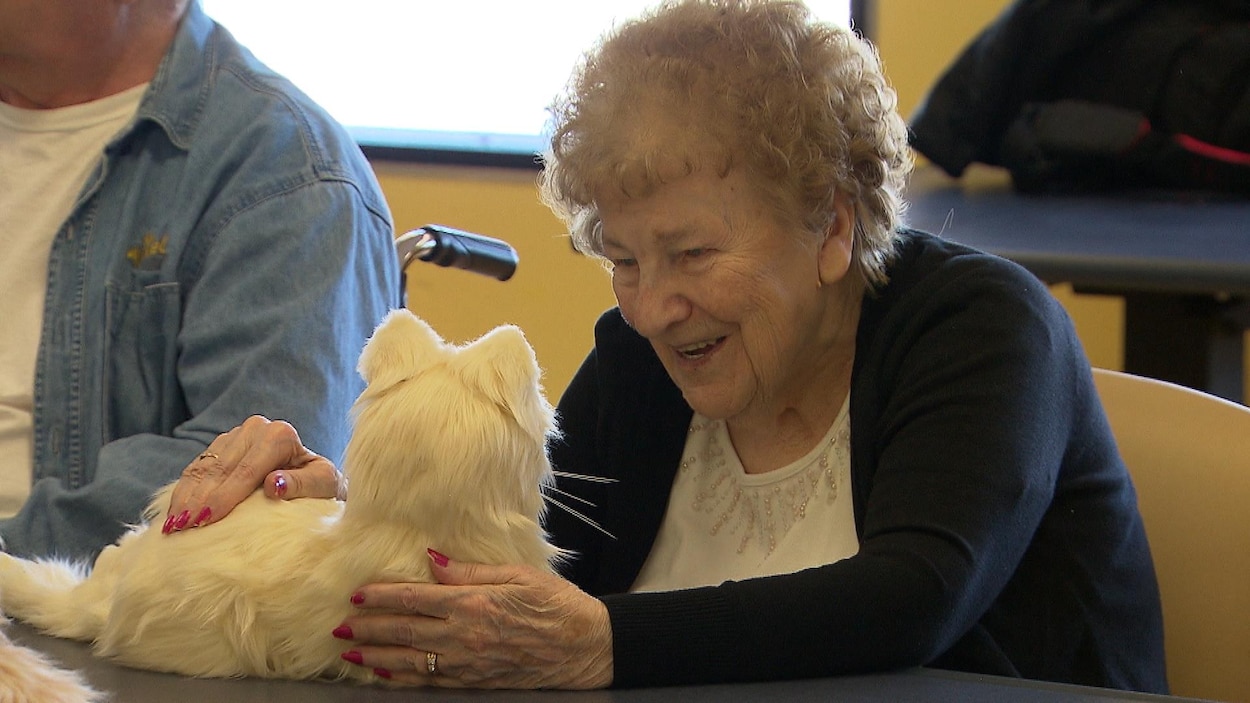 Des Animaux De Compagnie Robots Pour Apporter Du Reconfort Radio Canada Ca