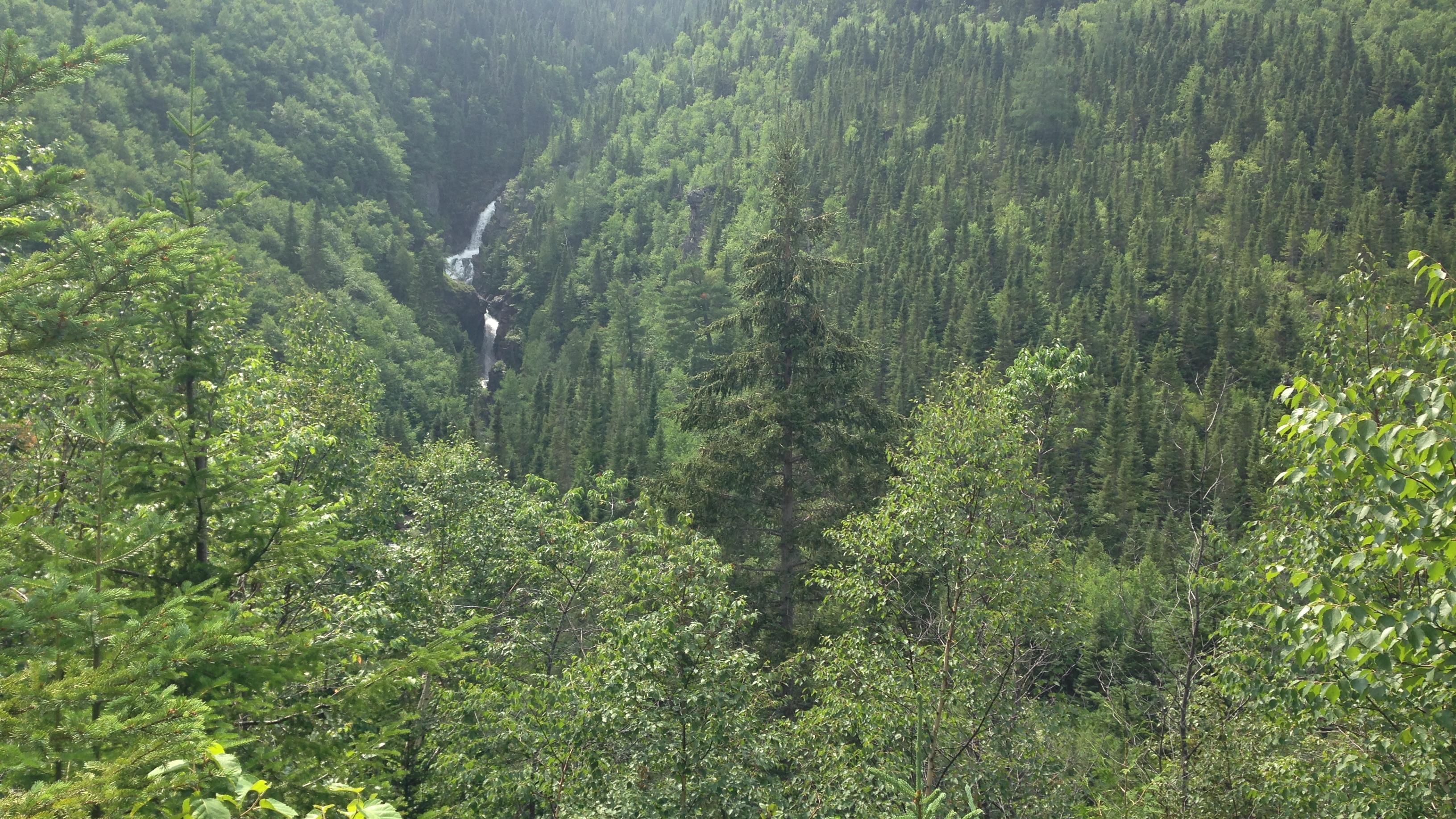 Aire protégée dans la réserve de Matane la HauteGaspésie veut être