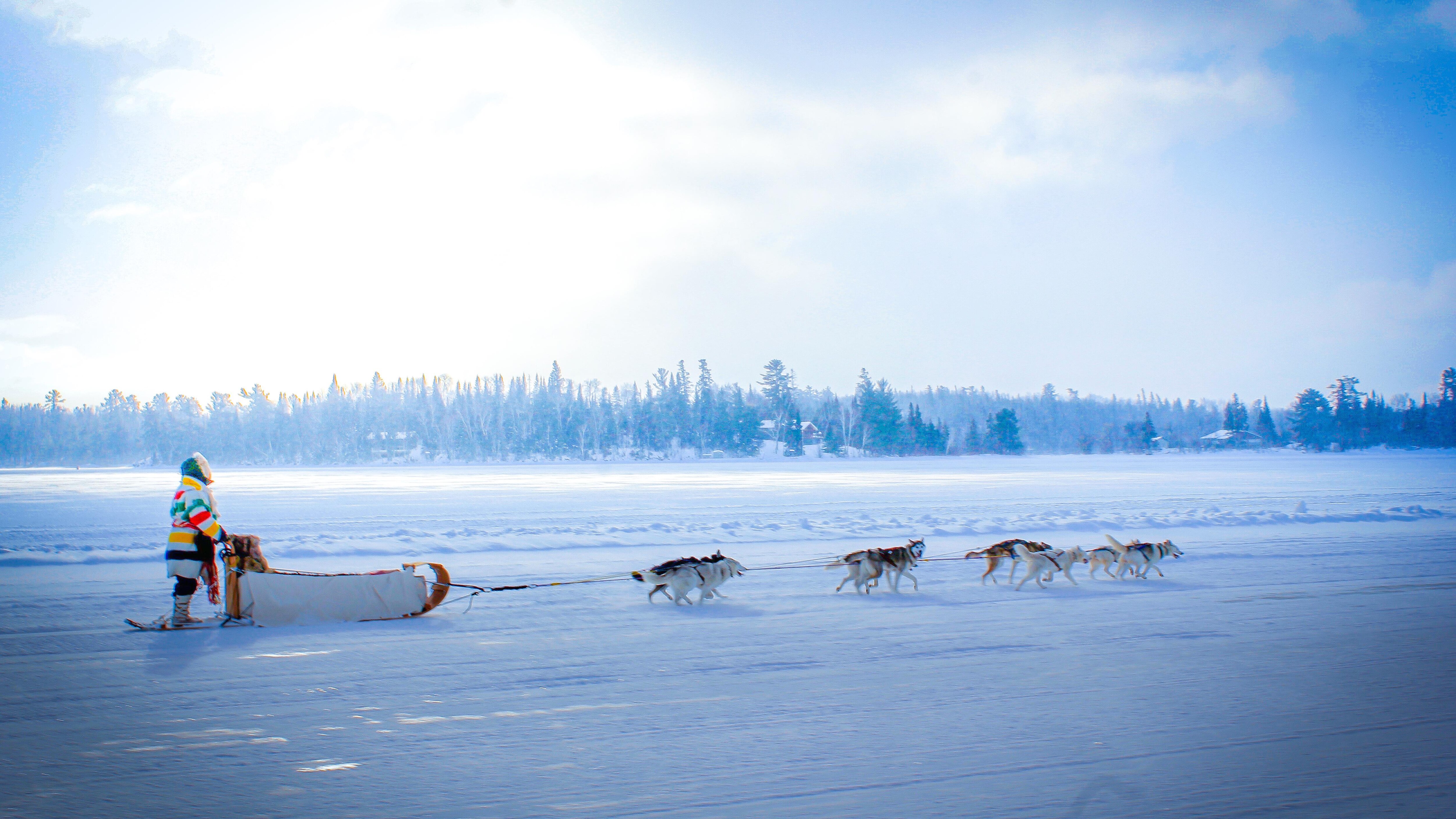 Les places sont complètes au Harness Adventure Mushing
Les places sont complètes au Harness Adventure Mushing