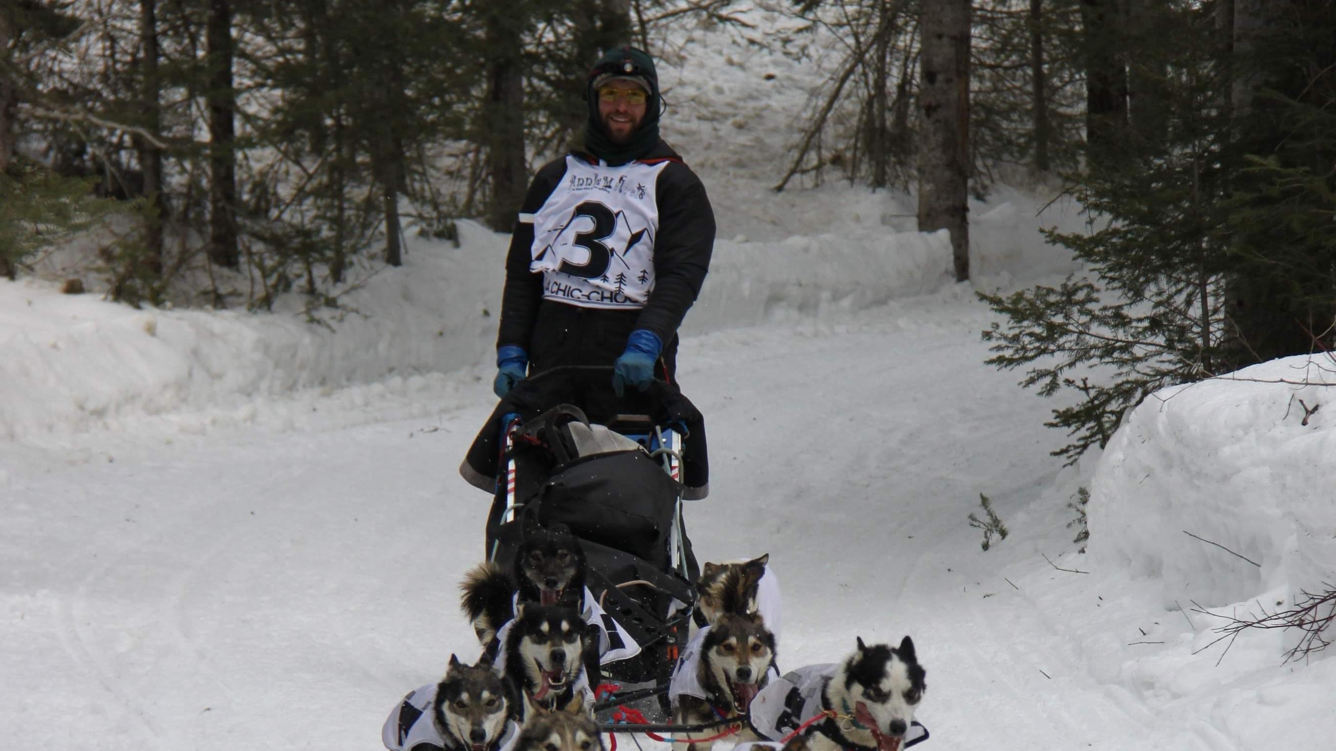 Course internationale de traîneaux à chiens à Pin Rouge